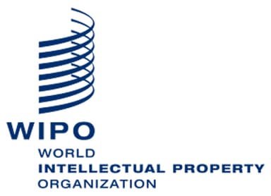 Patente WIPO PCT (World Intellectual Property Organization) WO2024107977A1